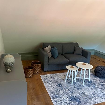 Palmbraeu Altstadt Appartments ハイデルベルク エクステリア 写真