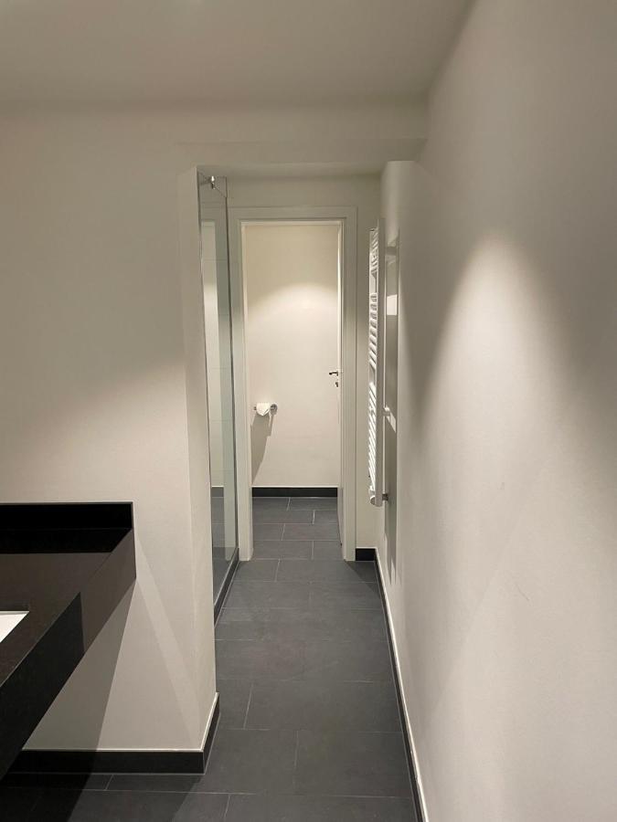 Palmbraeu Altstadt Appartments ハイデルベルク エクステリア 写真