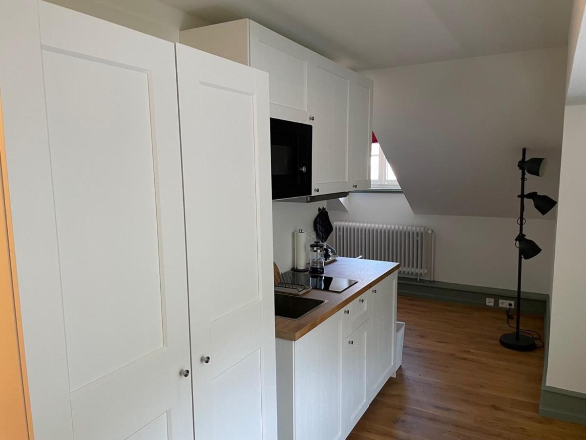 Palmbraeu Altstadt Appartments ハイデルベルク エクステリア 写真