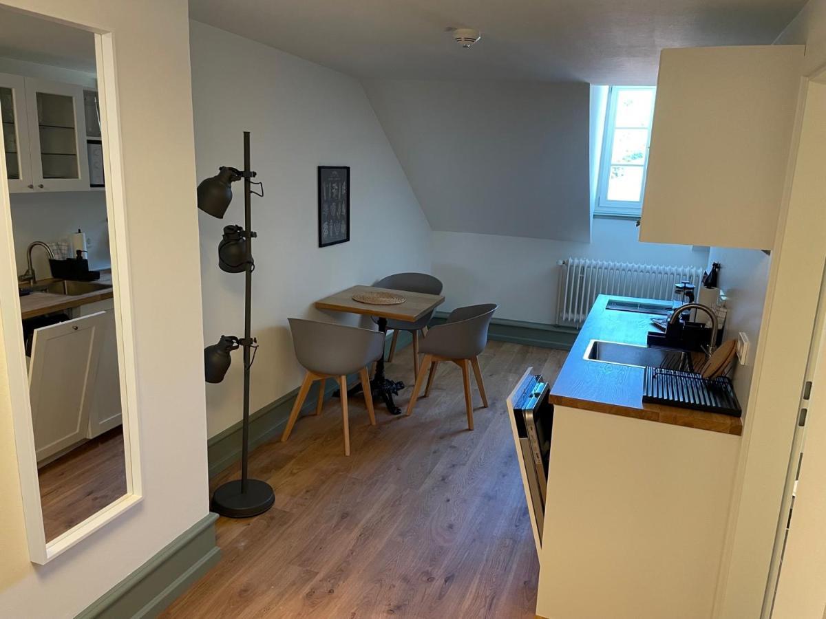 Palmbraeu Altstadt Appartments ハイデルベルク エクステリア 写真