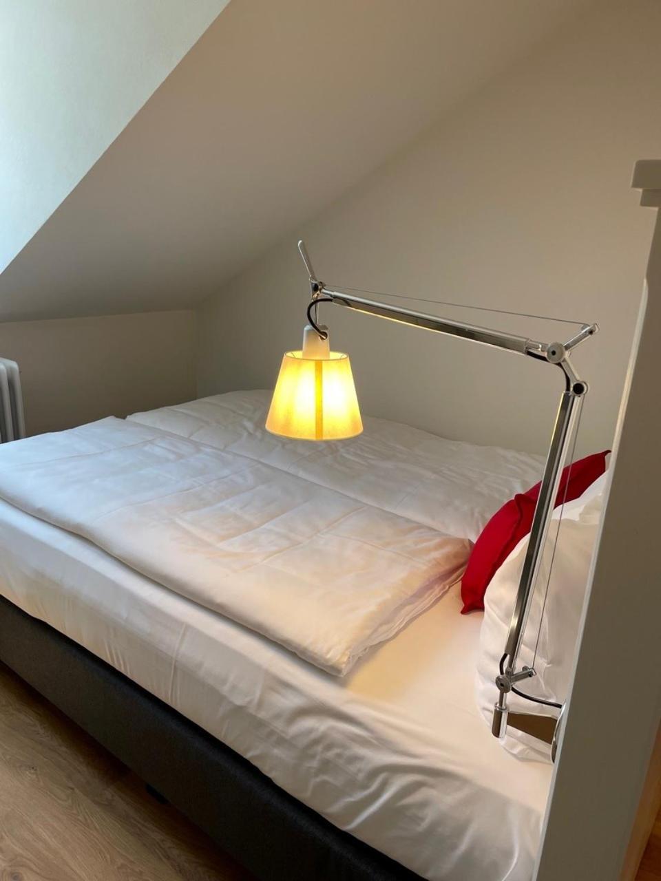Palmbraeu Altstadt Appartments ハイデルベルク エクステリア 写真
