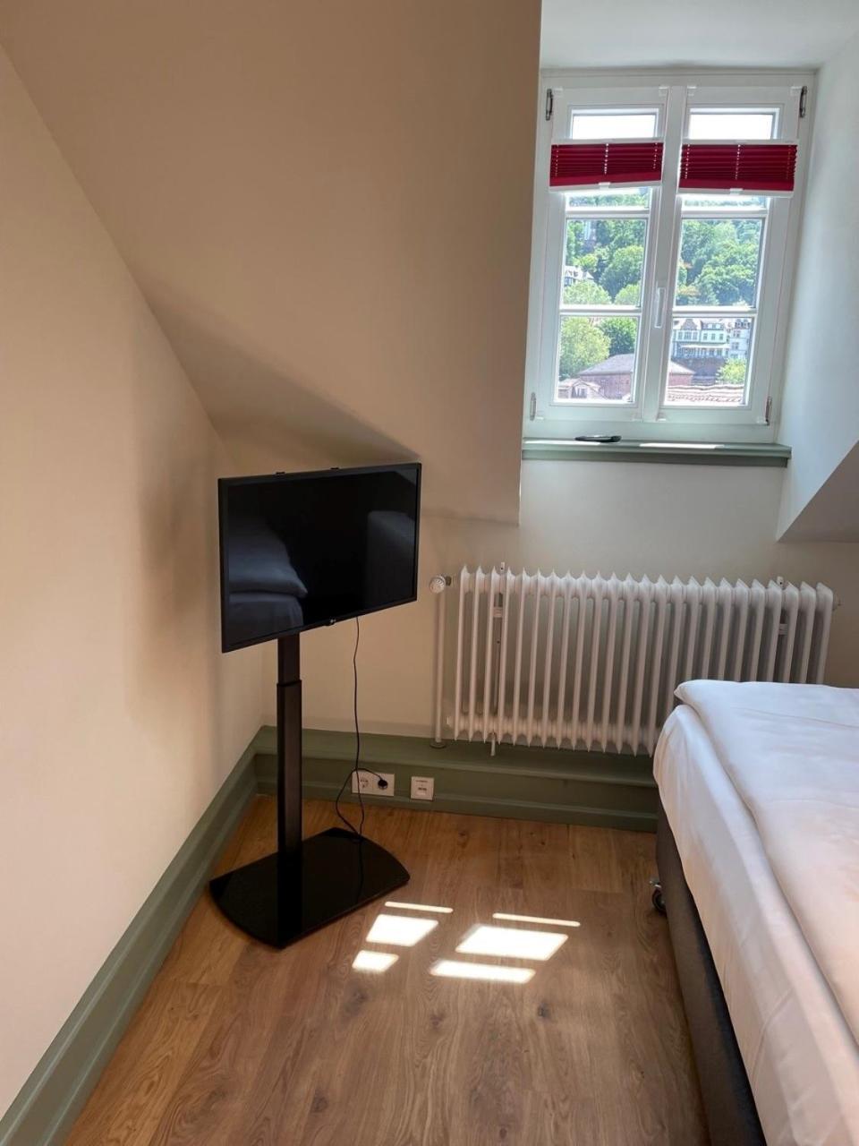 Palmbraeu Altstadt Appartments ハイデルベルク エクステリア 写真